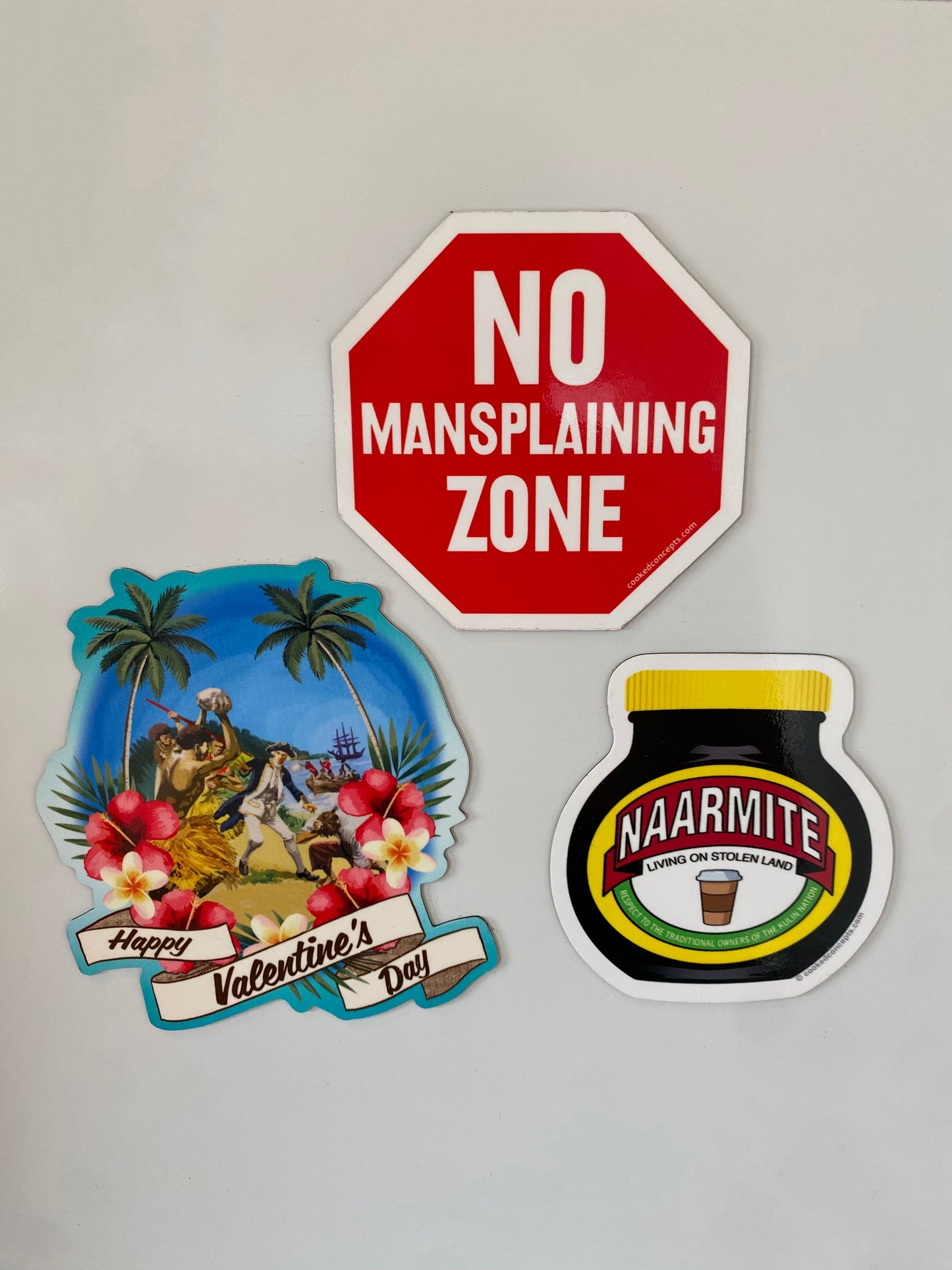 No Mansplaining Zone Magnet - Cooked Concepts