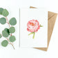 Greeting cards - Cooked Concepts